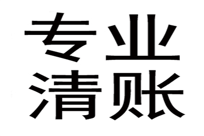无赔偿能力诉讼困境应对策略